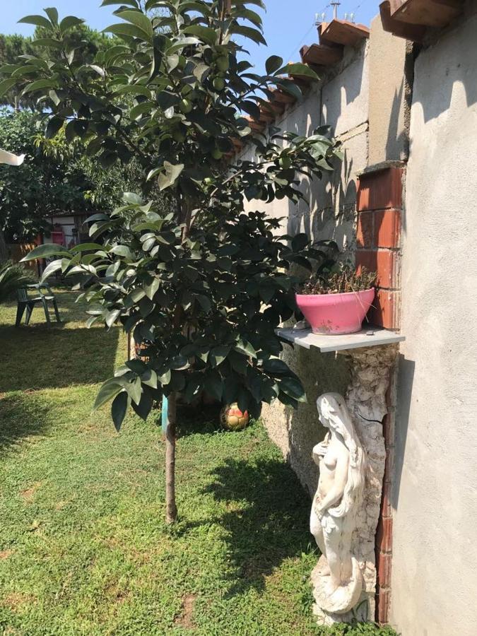 Mirella'S House Viaverona Ardea Zewnętrze zdjęcie